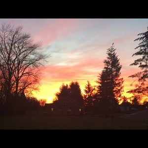 Meet your Posher, Tami